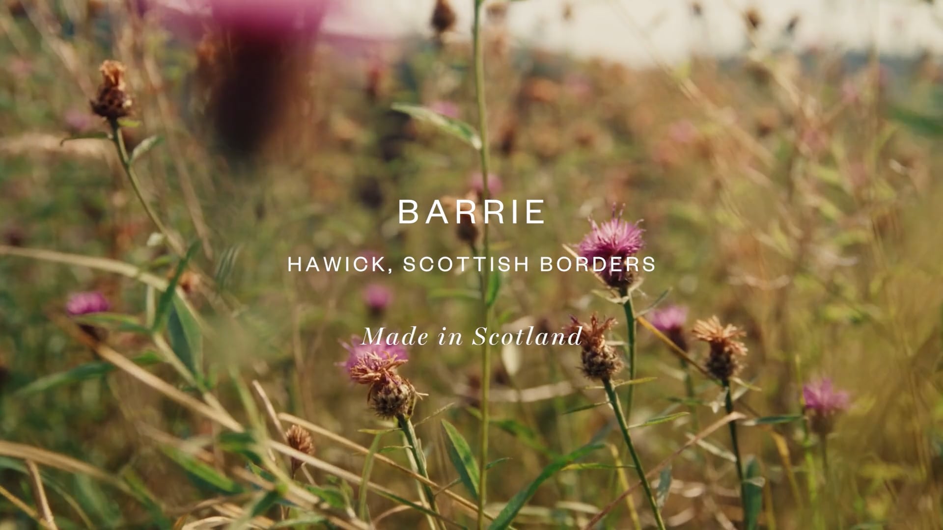 HARRODS - C&P SERIES - EP.1 CASHMERE