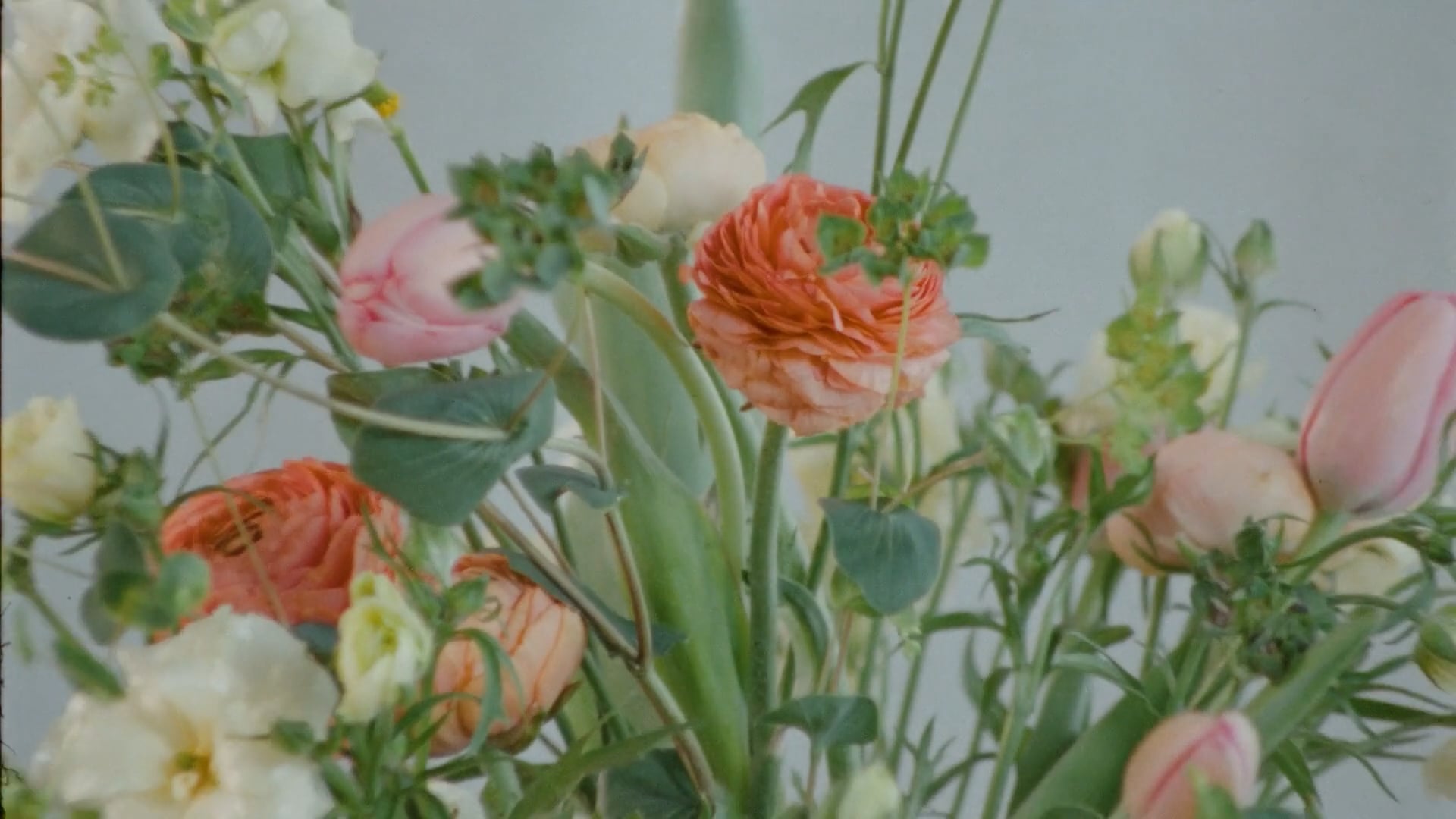 Vera Braga- Motherhood