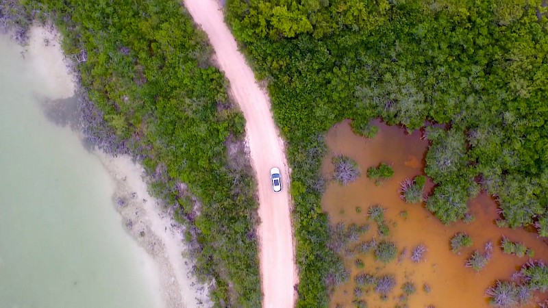 The Time When Ben Nearly got Jack Eaten by a Crocodile