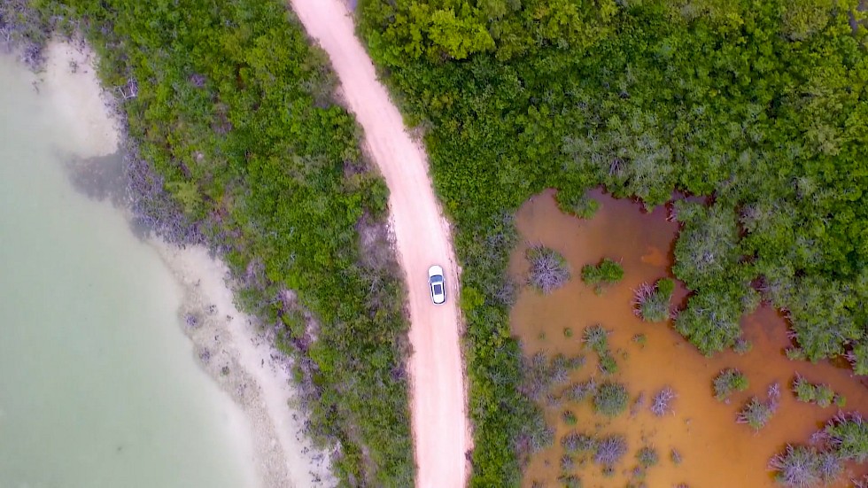 The Time When Ben Nearly got Jack Eaten by a Crocodile