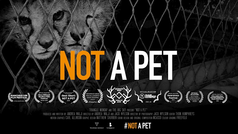 Not a Pet: A Wildlife Documentary That Matters
